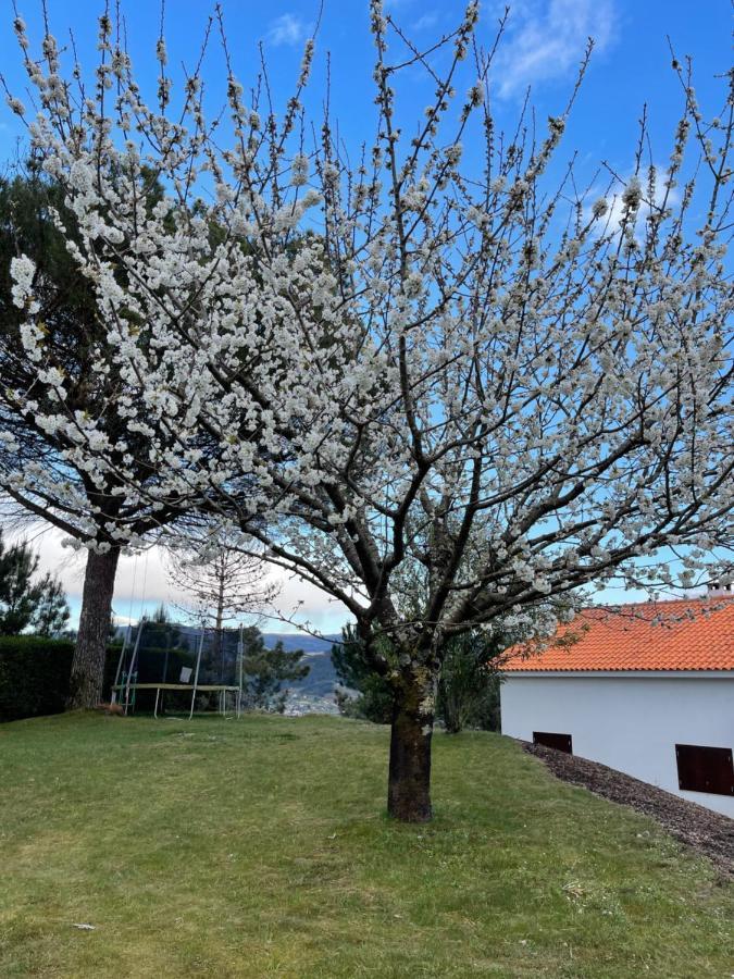 Vila Casa Catita - Douro Baião Exteriér fotografie