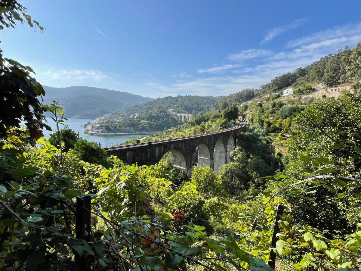 Vila Casa Catita - Douro Baião Exteriér fotografie